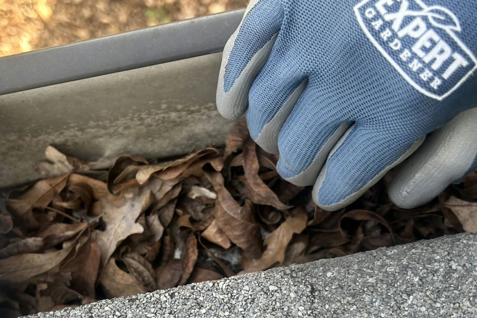 Cynthiana Gutter Cleaning